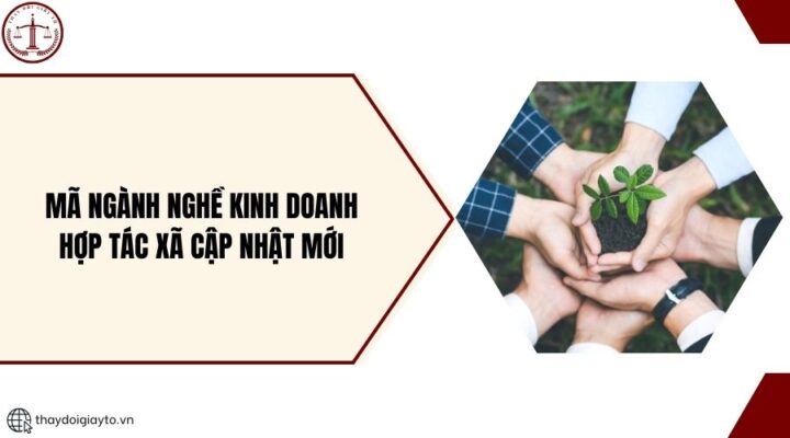 Mã ngành nghề kinh doanh hợp tác xã cập nhật mới
