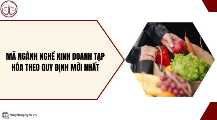Mã ngành nghề kinh doanh tạp hóa theo quy định mới nhất