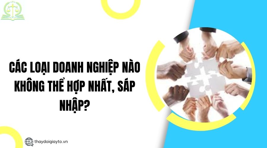 Các loại doanh nghiệp nào không thể hợp nhất, sáp nhập