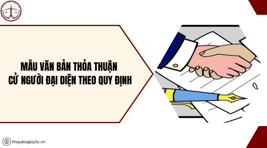 Mẫu văn bản thỏa thuận cử người đại diện theo quy định