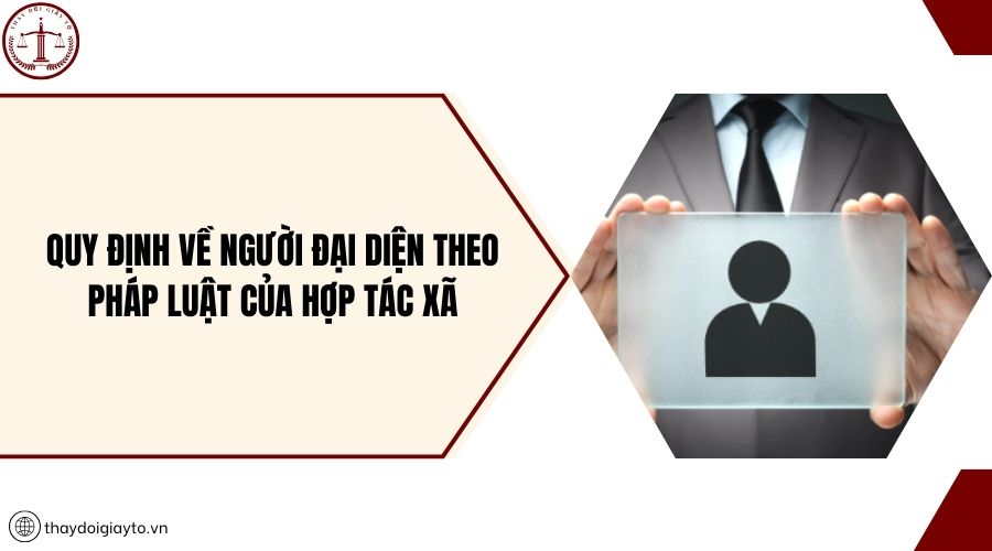 Quy định về người đại diện theo pháp luật của hợp tác xã