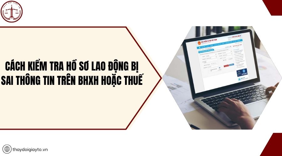 Cách kiểm tra hồ sơ lao động bị sai thông tin trên BHXH hoặc thuế