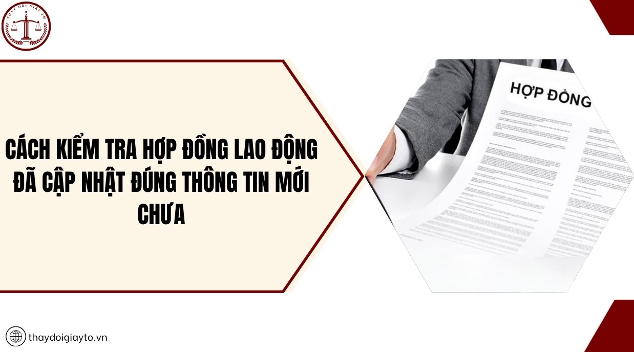 Cách kiểm tra hợp đồng lao động đã cập nhật đúng thông tin mới chưa