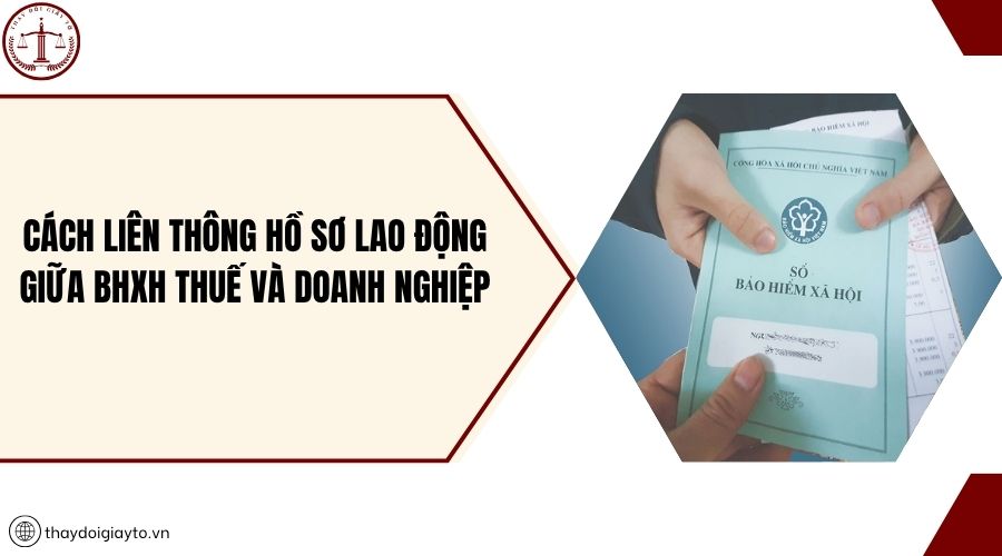 Cách liên thông hồ sơ lao động giữa BHXH thuế và doanh nghiệp