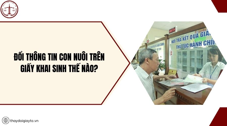 Đổi thông tin con nuôi trên giấy khai sinh thế nào?