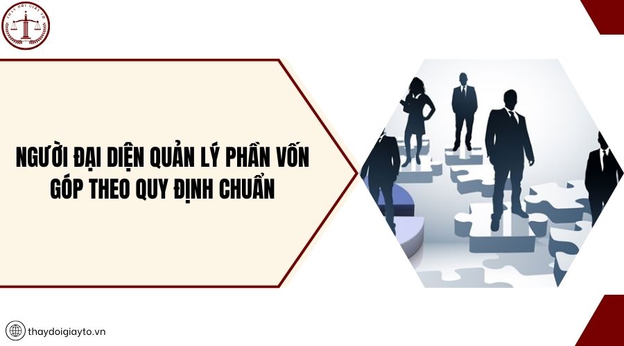 Người đại diện quản lý phần vốn góp theo quy định chuẩn
