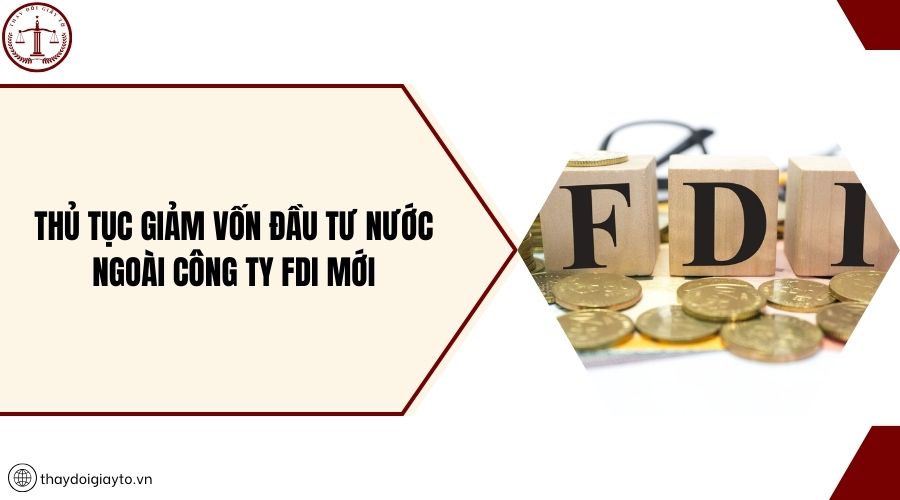 Thủ tục giảm vốn đầu tư nước ngoài công ty FDI mới