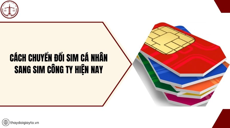 Cách chuyển đổi sim cá nhân sang sim công ty hiện nay